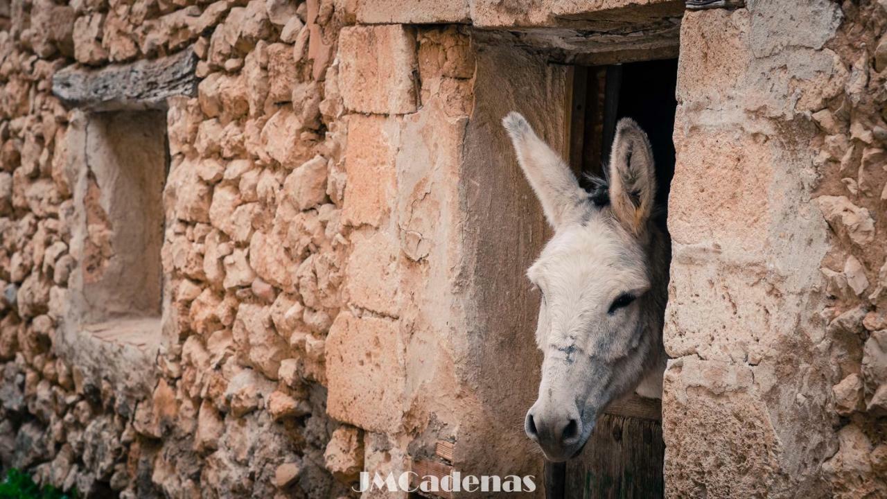 Гостьовий будинок Casa La Nuri Utande Екстер'єр фото